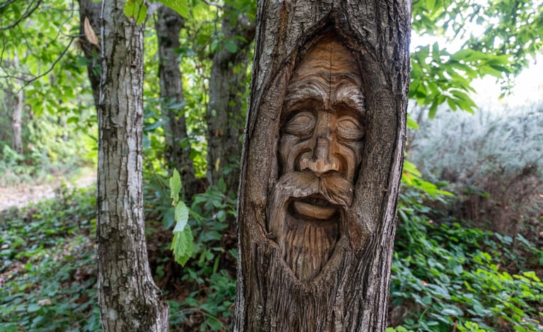Detailed wood carving of an old man's face on a tree trunk in a lush forest setting.