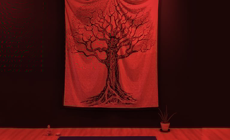 ASD Movimento Bergamo - Albero della vita