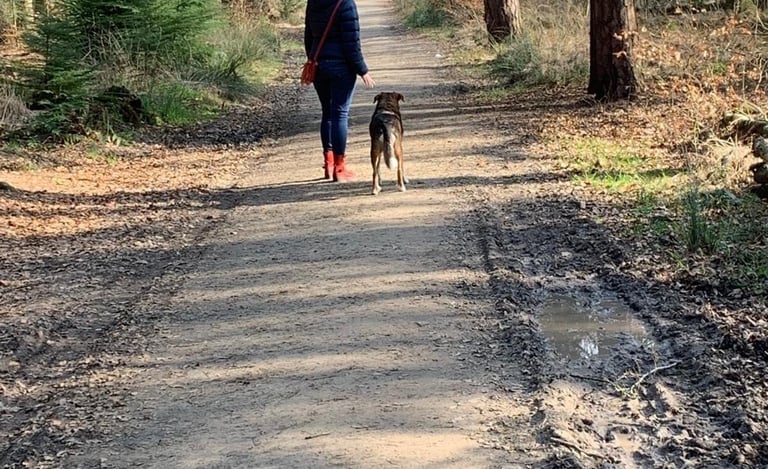 a person walking down a dirt road with a dog
