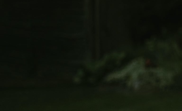 tamsiai žalios spalvos fonas