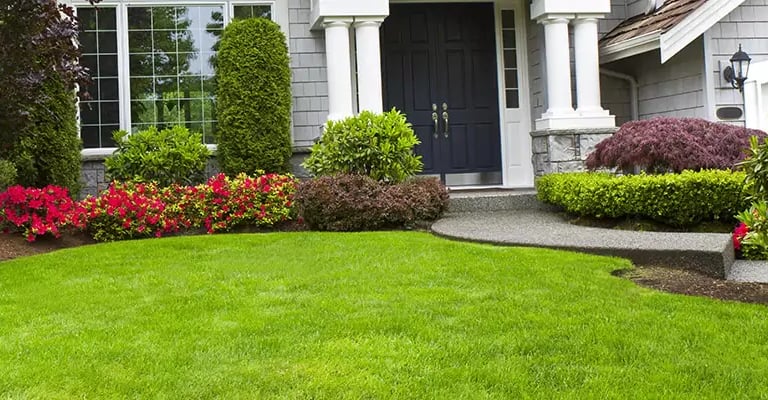 client home, full service landscaping package