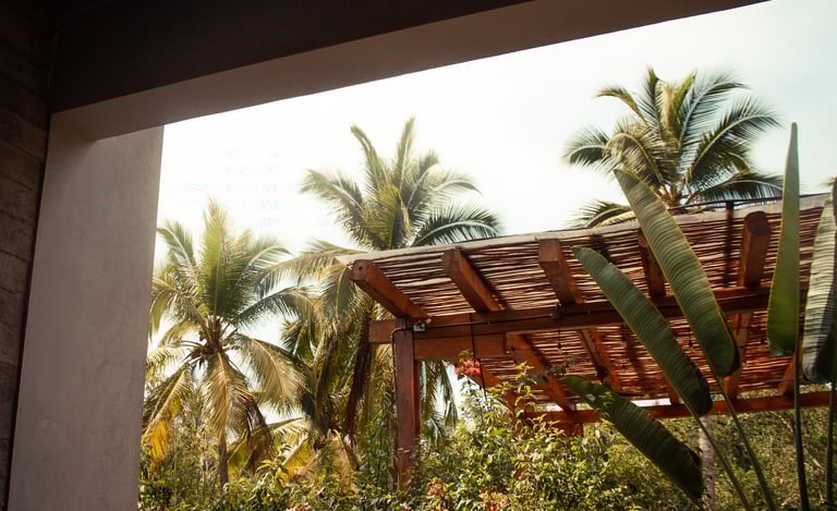 SALADITA RENTALS X GATO SURF