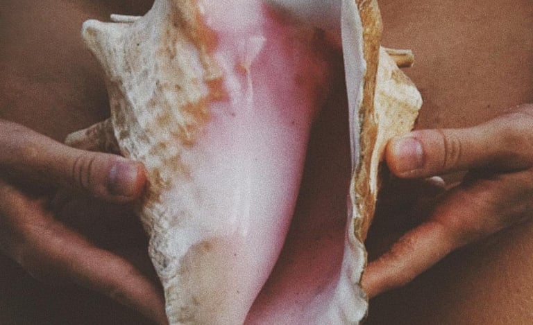 a person holding a large shellfish in their hands in front of the womb