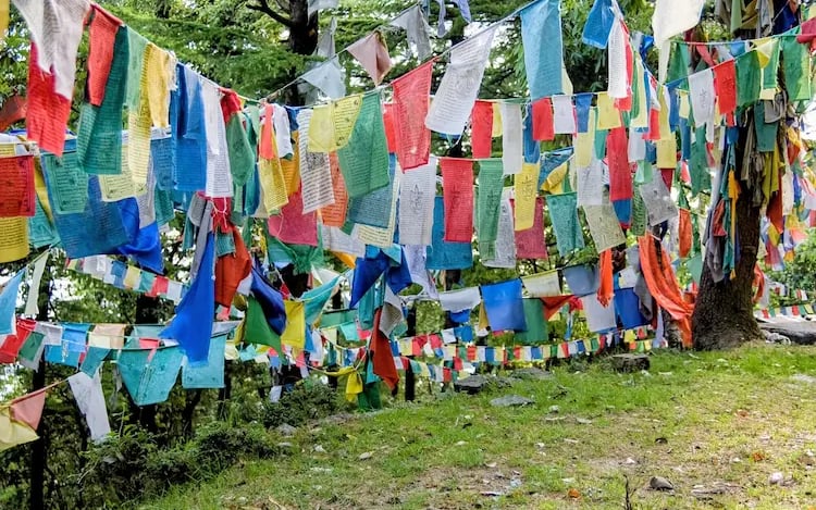 Colorful prayer flags Dharamkot village mini Israel Himachal.