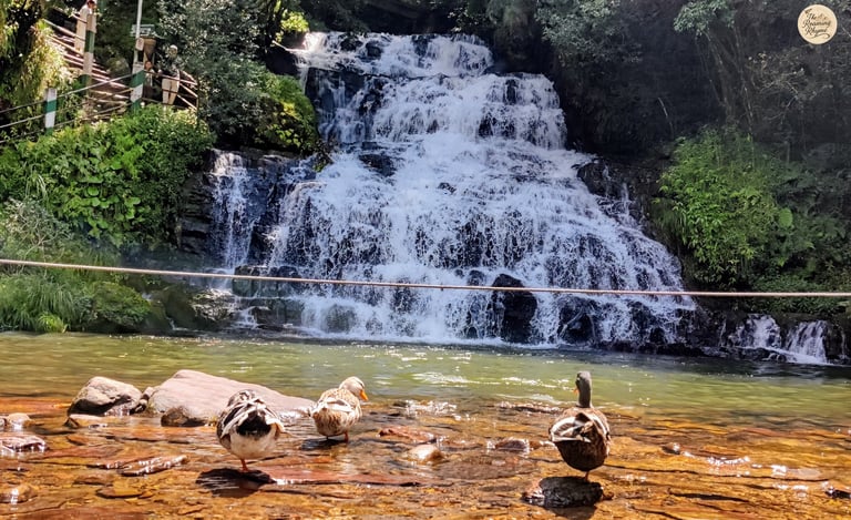 Third and final fall of Elephant Falls - the echoing heart of the forest of Meghalaya