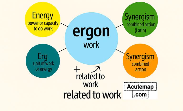 Word Power Made Easy Chart Root Word Ergon SSC UPSC Banking Vocabulary