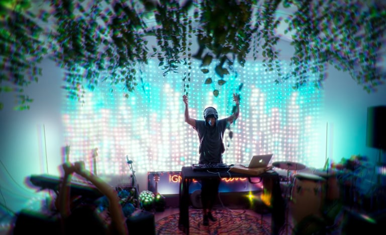 DJ performing live in DTLA crowd for BrandNests music marketing and video production portfolio.