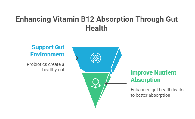 Support Your Gut Health