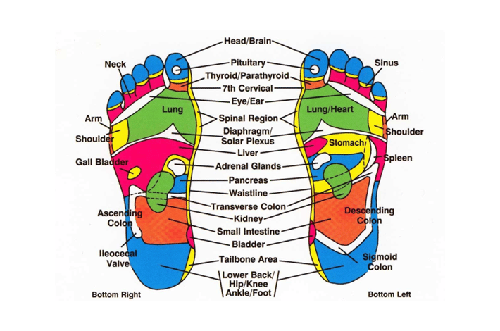 Professional foot reflexology therapy for stress relief and pain management