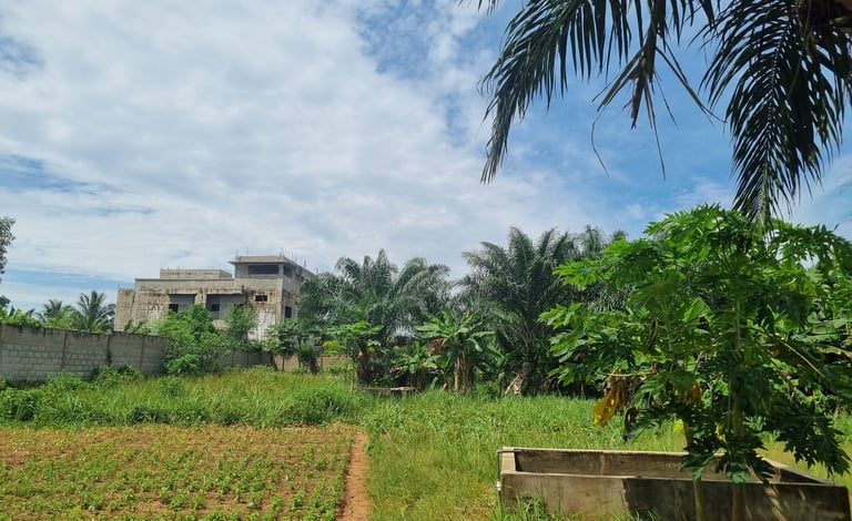 Ferme d'Emmaüs Pahou