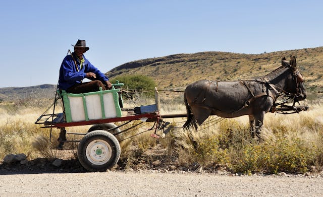 a man in a cowboy hat and a horse drawn carriage
