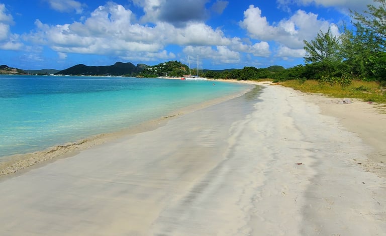 Valley Church Beach Antigua – long stretch of white sand with palm trees and turquoise water