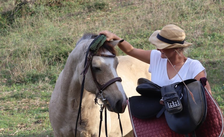 Pferd und Reiterin beim Training in der Sonne Mallorcas