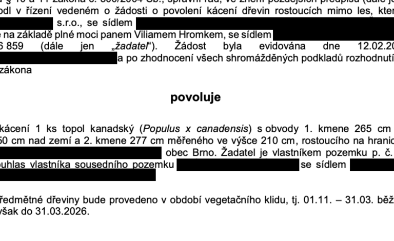 úspěšné povolení ke kácení