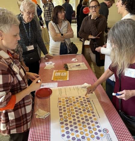 Playing the gerrymander game