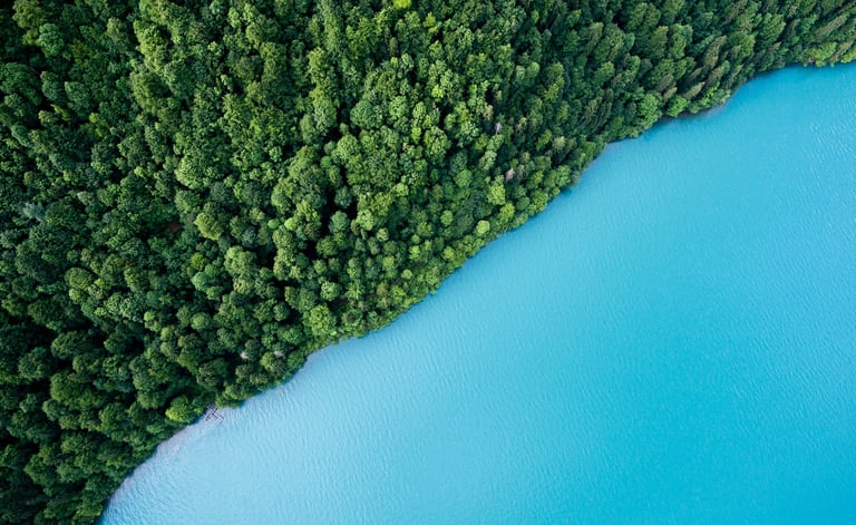 water near a forest