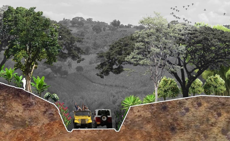 planes de paisajismo en el valle del cauca