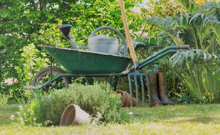 entretien-jardin-ballancourt-sur-essonne-91