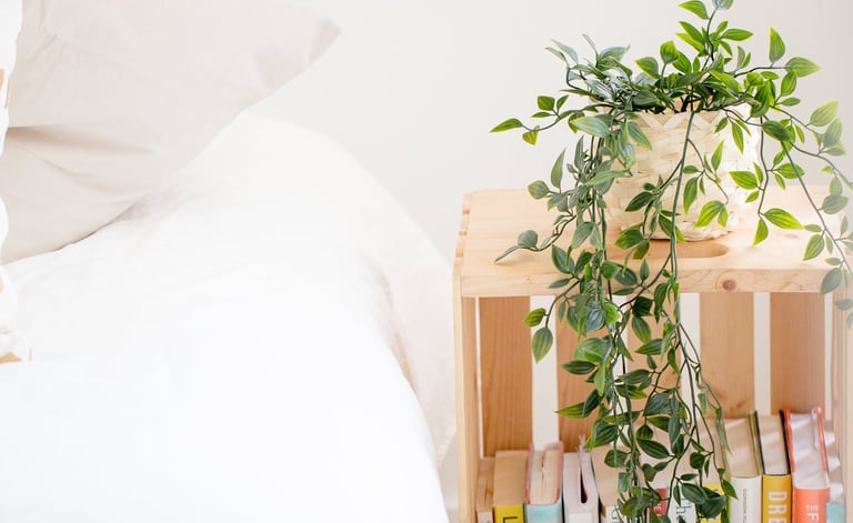 a bed with a plant in a small room