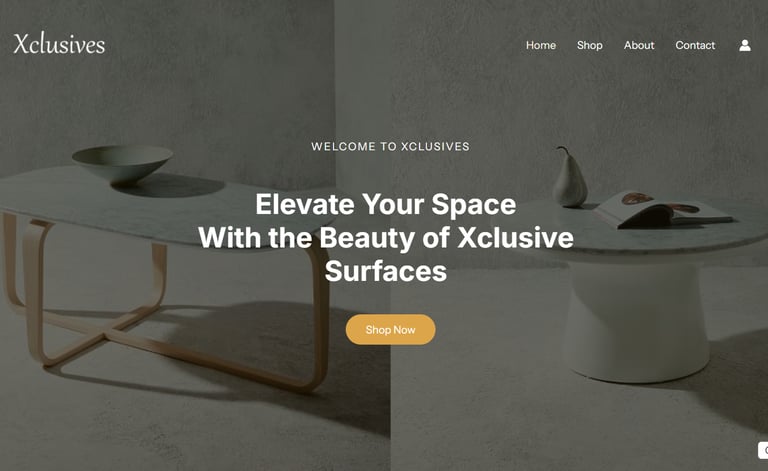 xclusive project