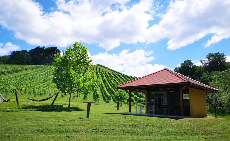 Pavillion im Grünen mit Hängematte