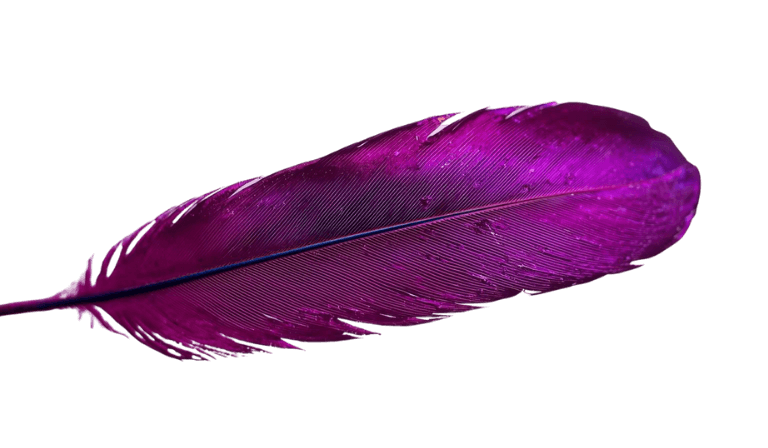 Purple sparrow feather, making decisions light with clarity