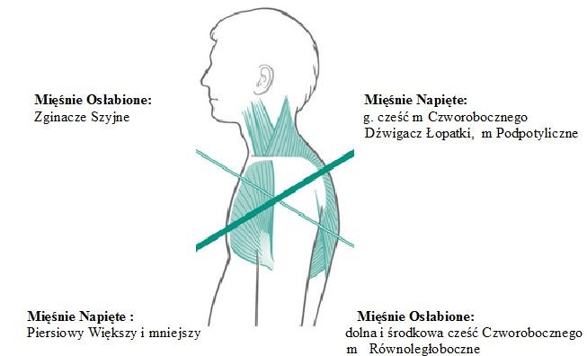 TMJ terapia stawów skroniowo-żuchwowych ból głowy fizjoterapia stomatologiczna