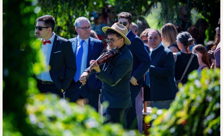 Show de violín eléctrico de Mauro Ruiz para fiestas, cócteles y eventos premium en Valencia y España
