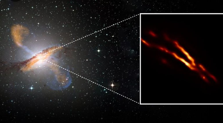 Wandering Supermassive Black Holes