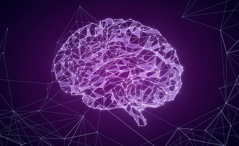 Brain mechanism that automatically links objects in our minds