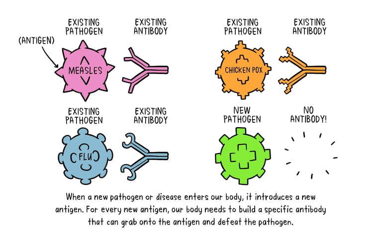 How do vaccines work