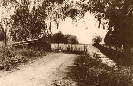 Puente Francia, San José