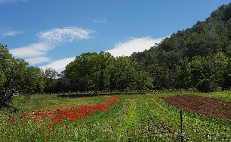 un cadre naturel idéal pour des formations et team building