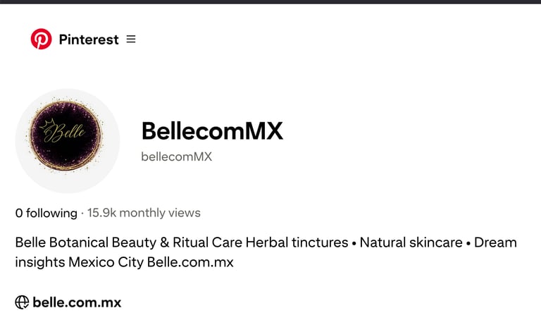 pinterest profile showing 15k monthly views demonstrating content distribution and organic traffic growth for belle