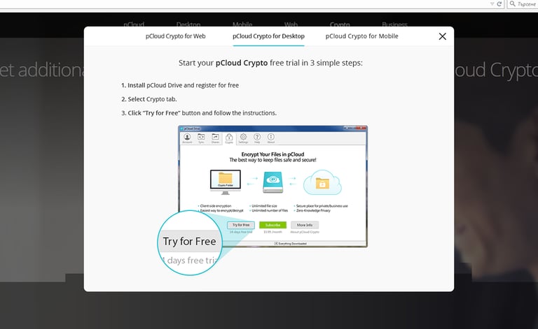 Crypto Folder for Windows Modal