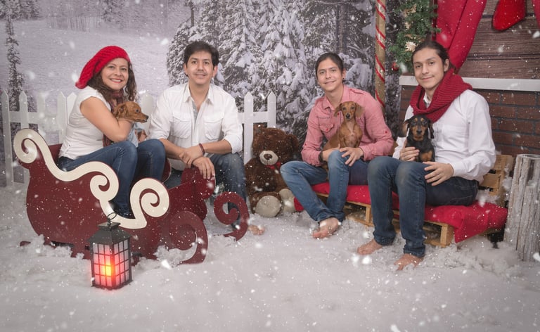 a family of four sitting on a sleigh