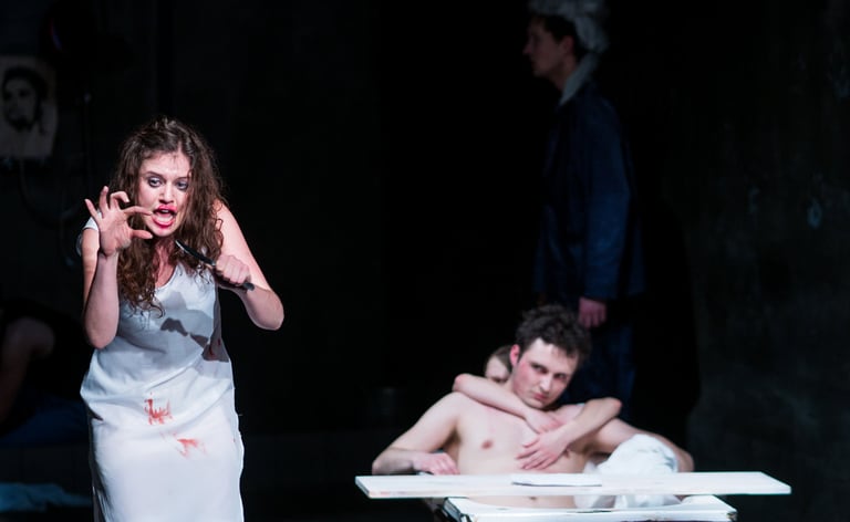 Dominika Lichy | Marat/Sade | reż. R. Zioło