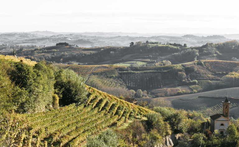 Mompirone Vineyards at Casa Isabella