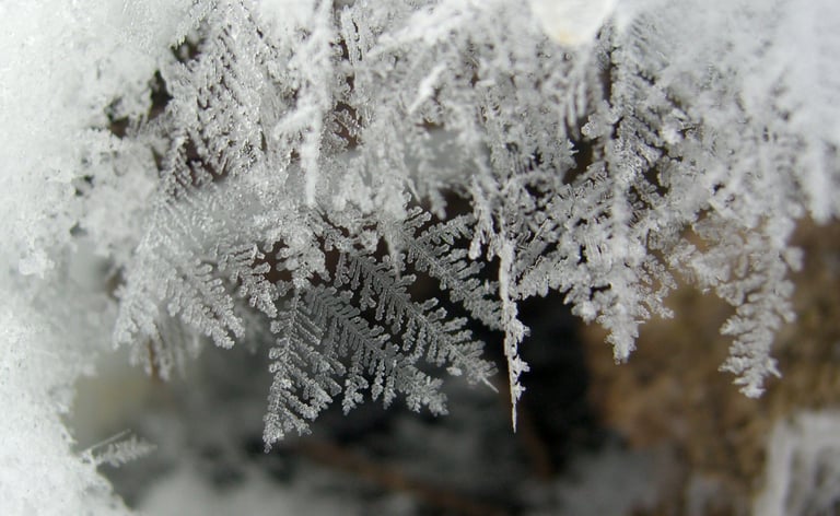 Feathery Snow Crystals By Jason Hollinger , Snow - Wikipedia