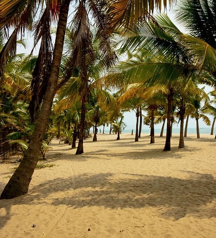 Kerala tour packages tours