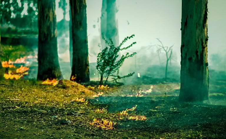 Burnout