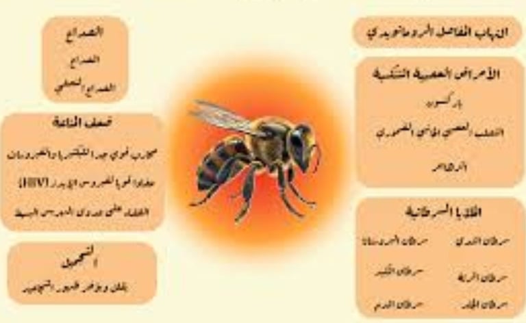 العلاج بالنحل فوائد سم النحل واستخداماته العلاجية