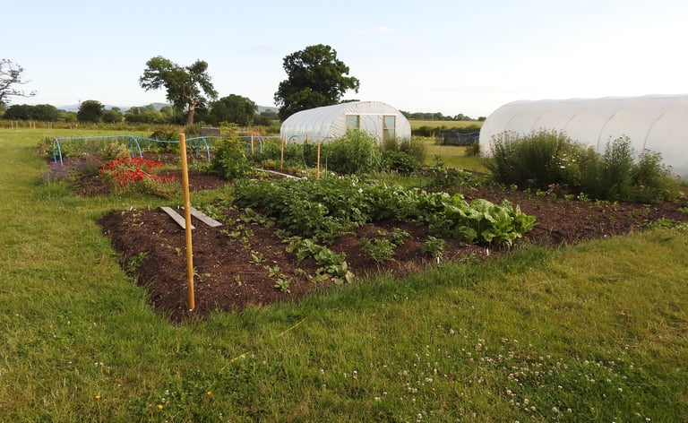 Little Oak Gifts market garden