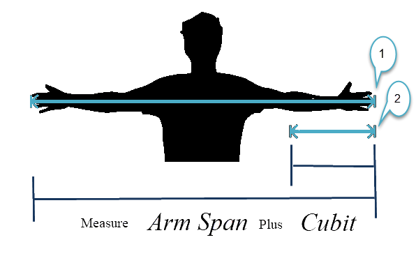 Greenland paddle measurement