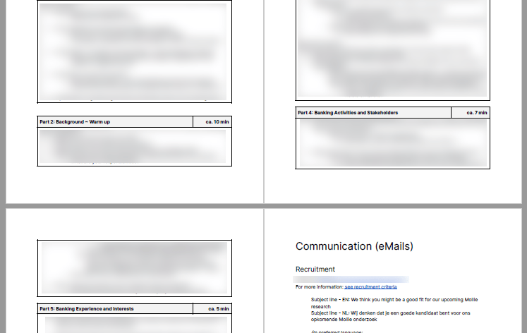 interview planning (blurred for nda purposes)