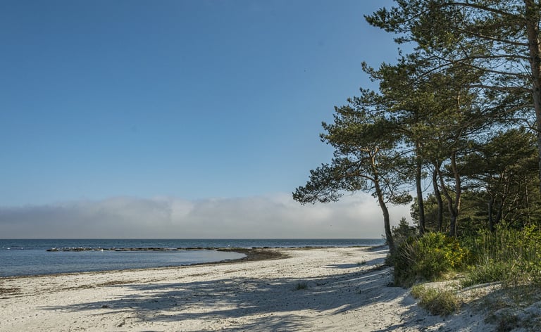 plaża