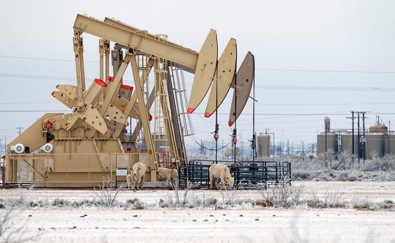Texas, Winter storm, wind turbines frozen, project give a shit, project gas