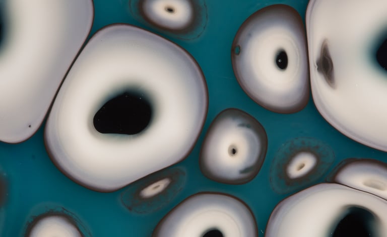 Coral blue - platter