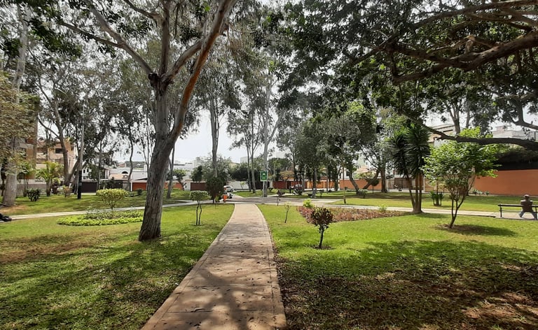 Amplios parques de Surco