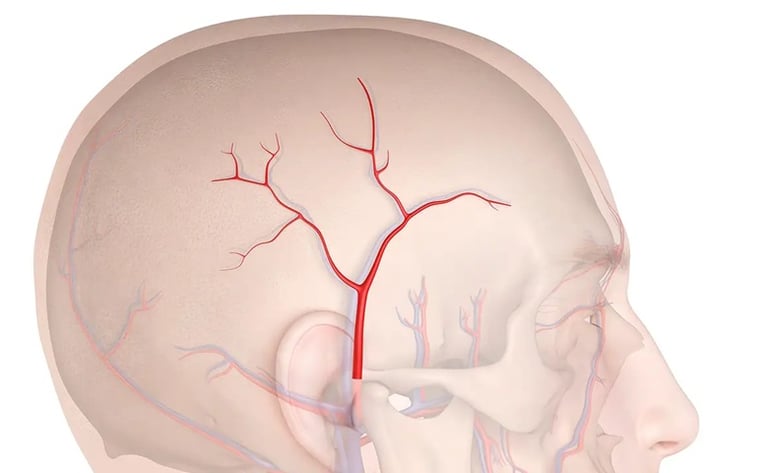 vascular ultrasound artery temporal facial parietal giant cell arteritis pain face vision jaw symptoms polymyalgia rheumatica